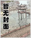 纵情将军路(NPH)